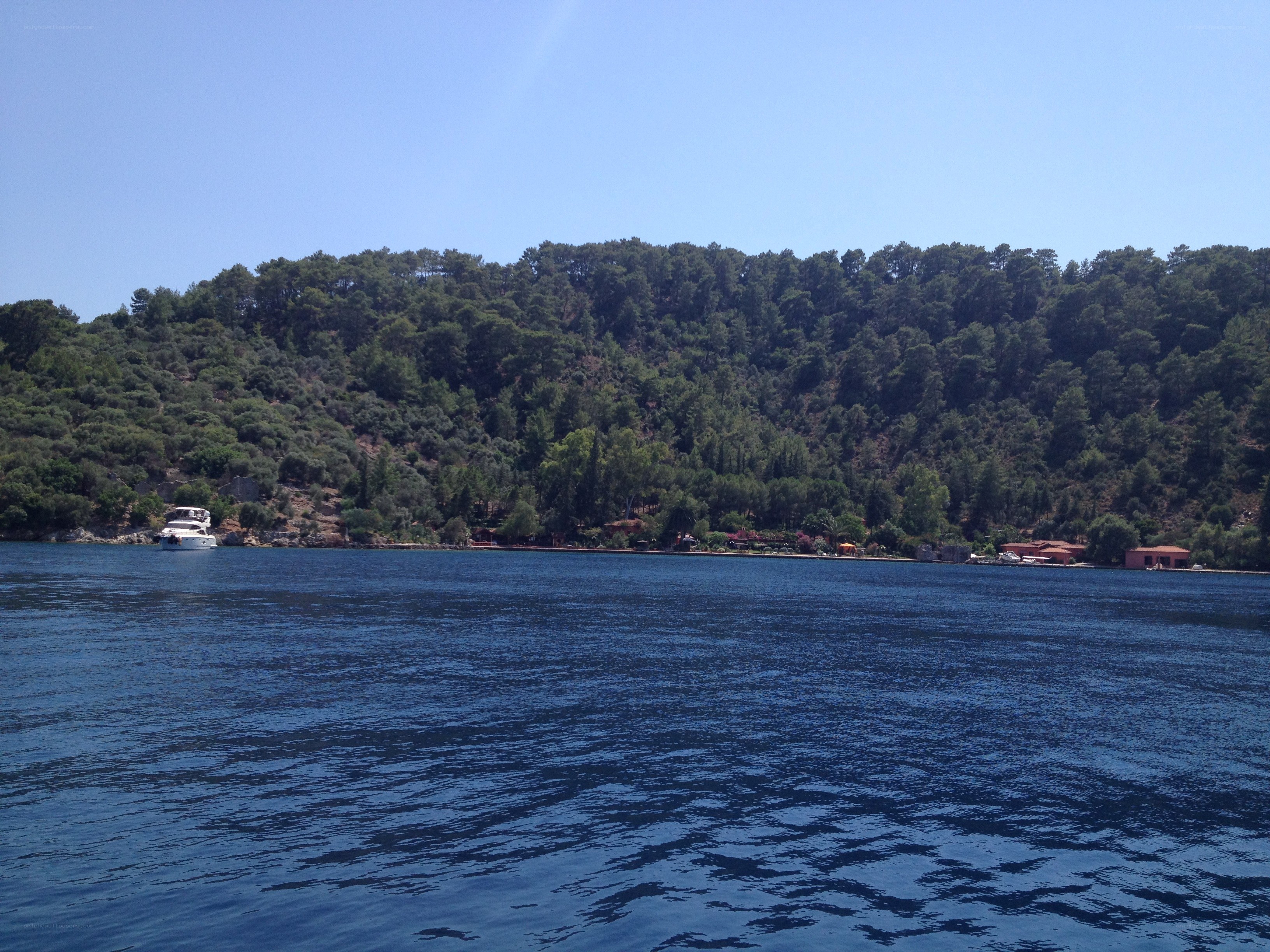 Boat near forested coast