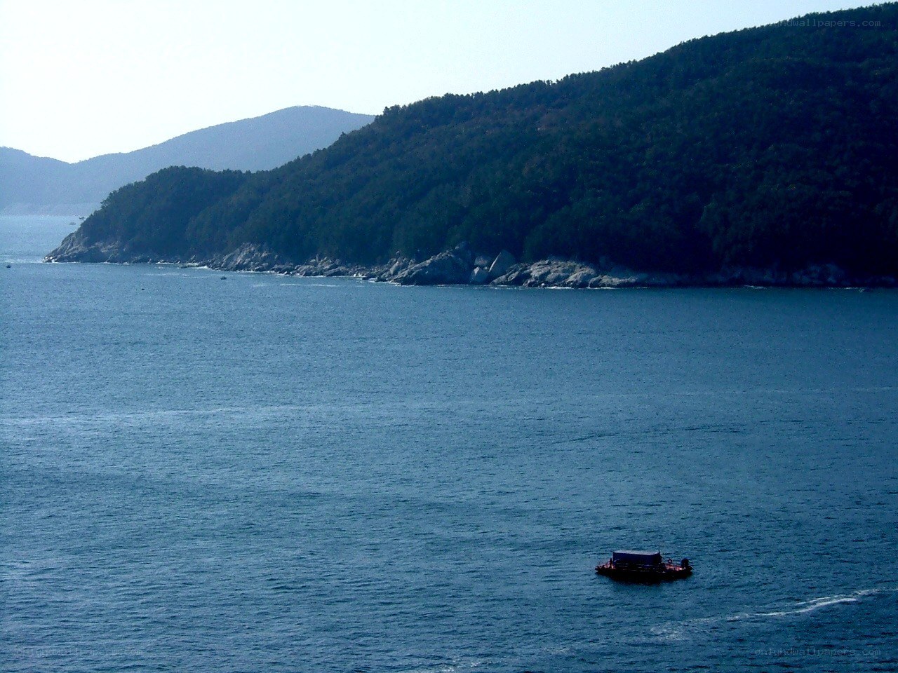 Boat near forested coastline
