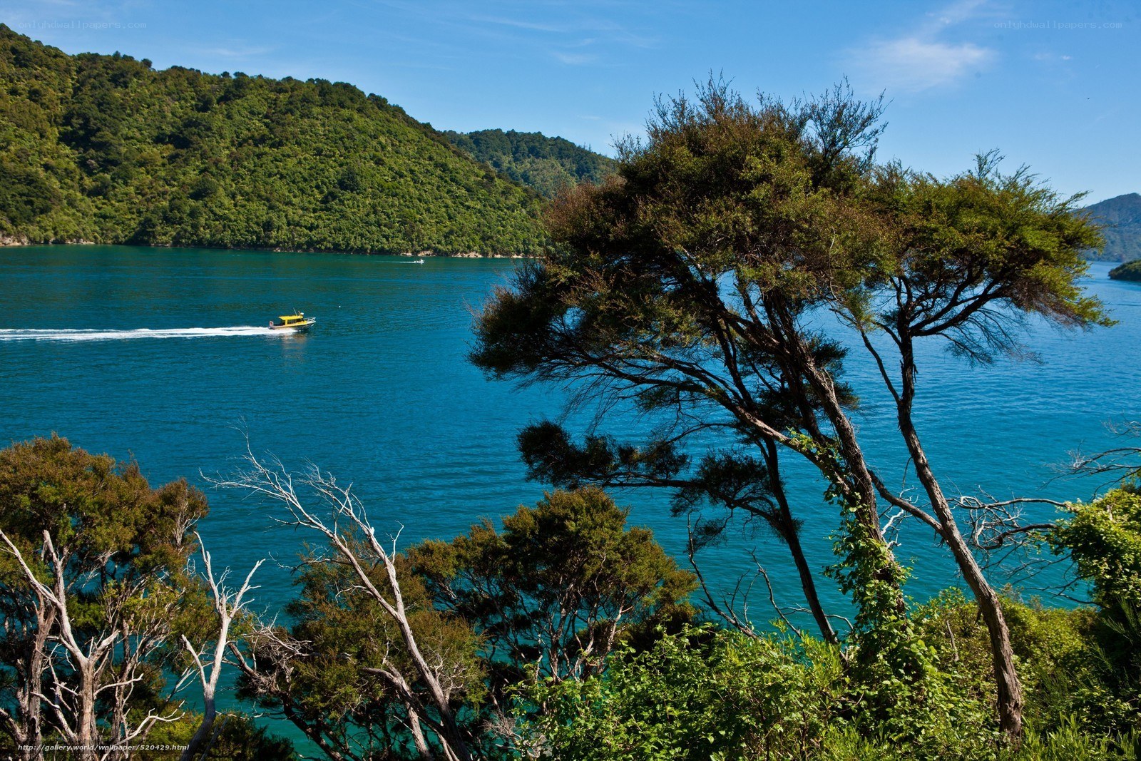 Boat on a blue bay