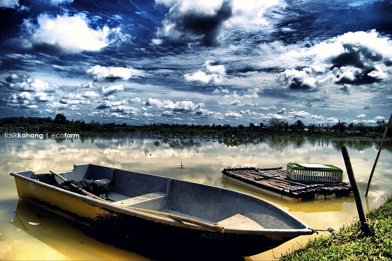 Boat on a calm lake