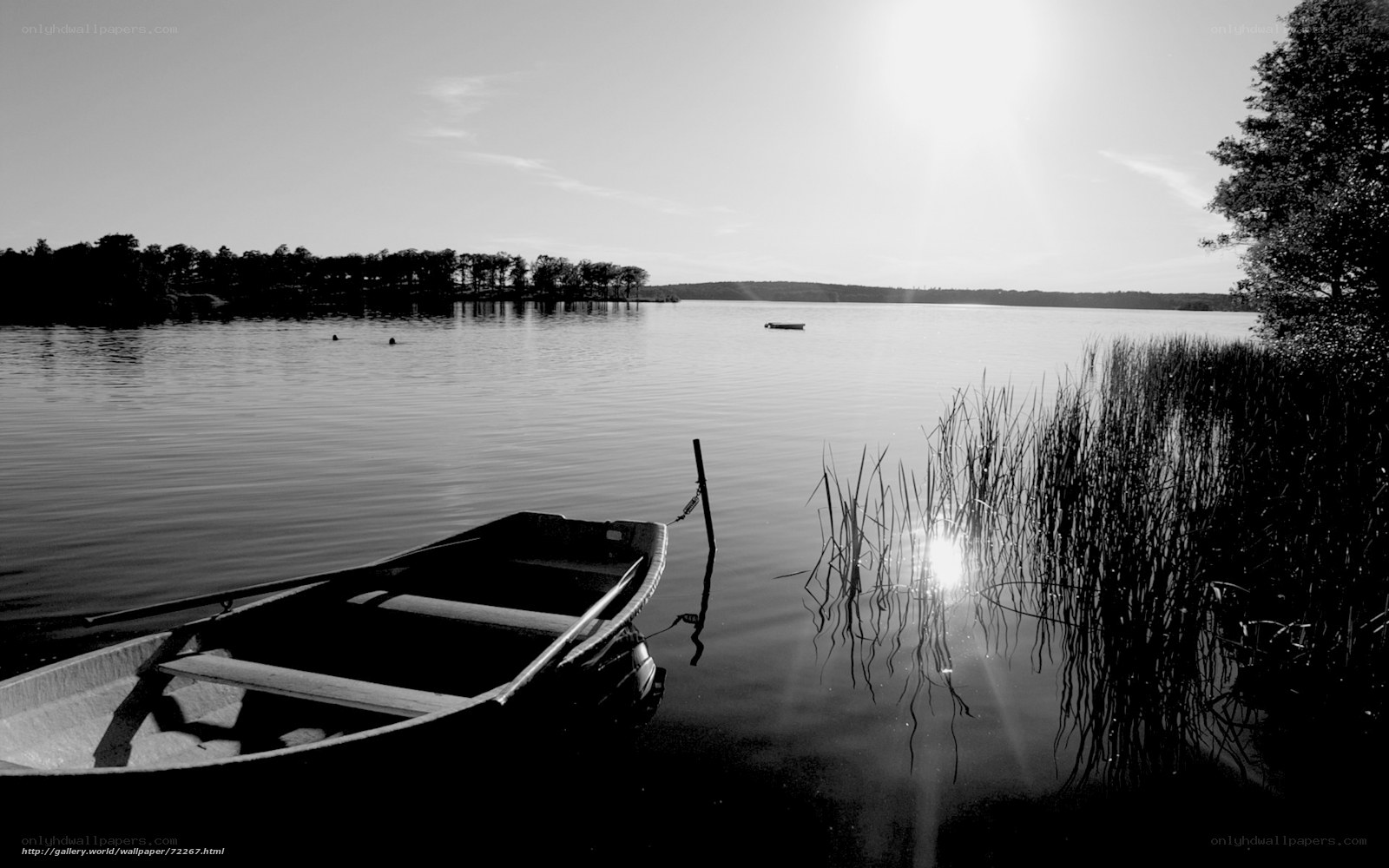 Boat on a calm lake