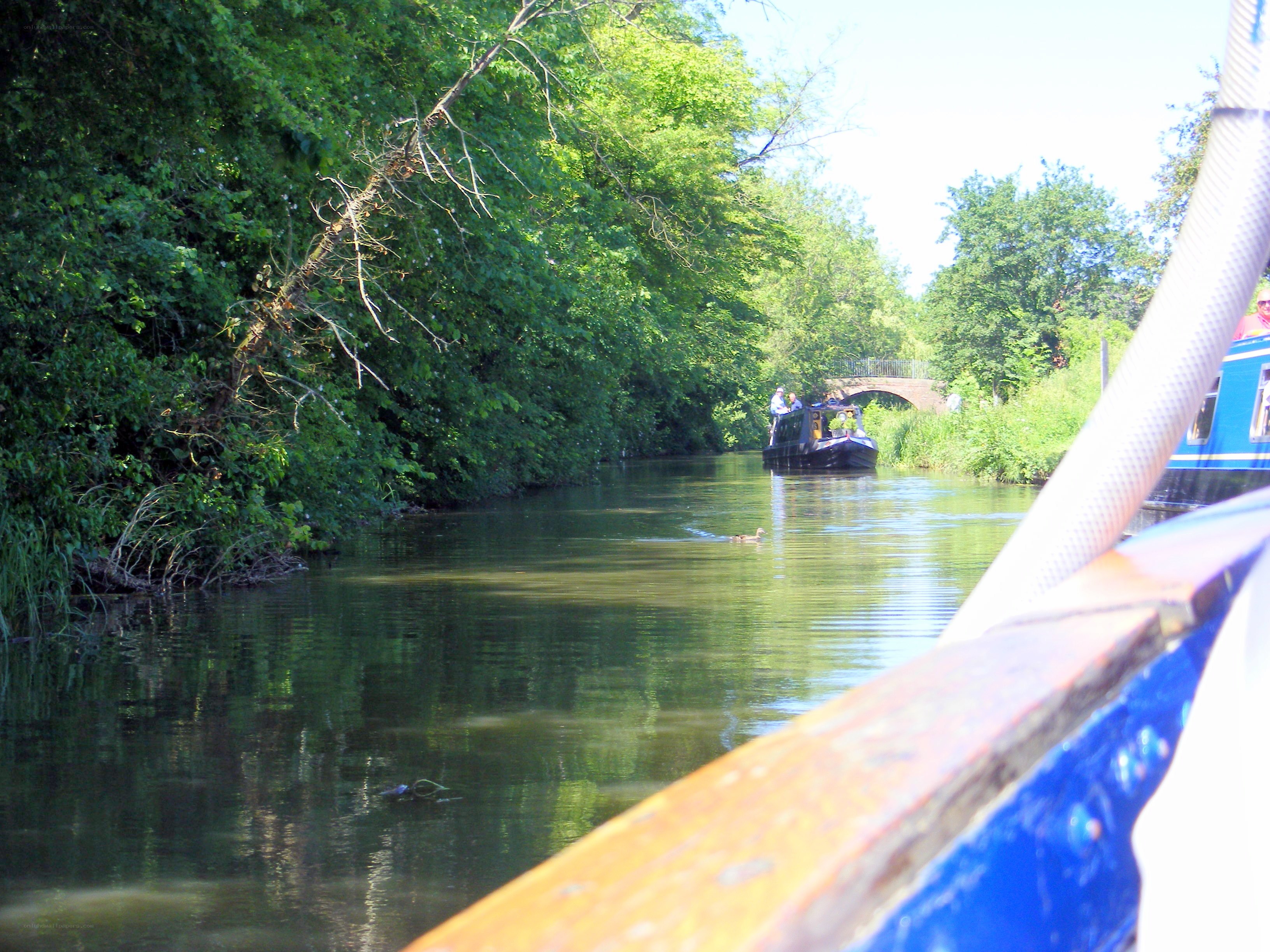 Boat on a canal with trees