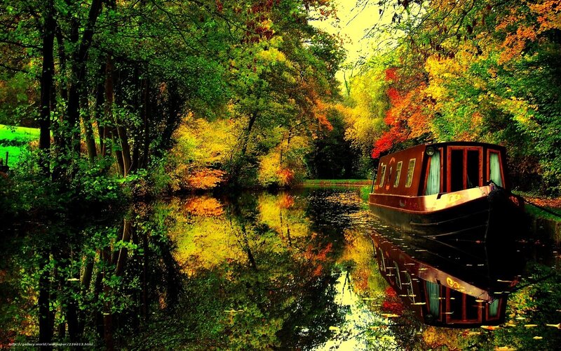 Boat on a forest canal