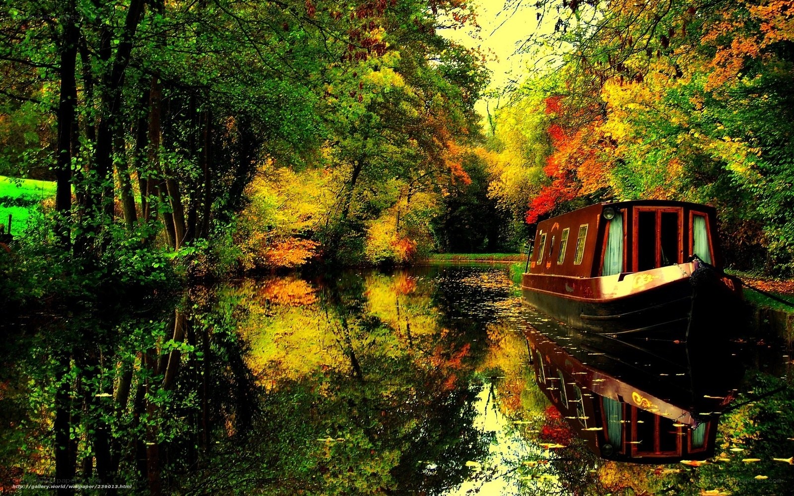 Boat on a forest canal