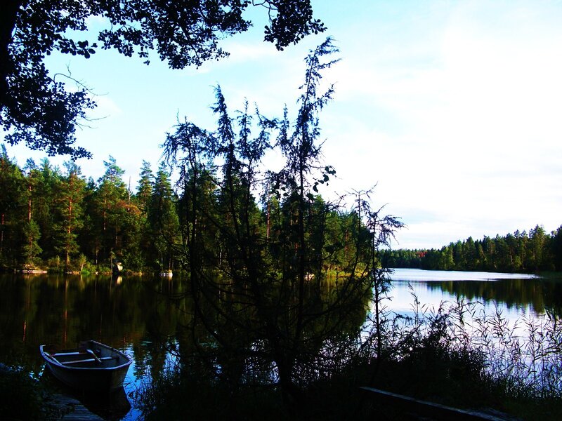 Boat on a forest lake