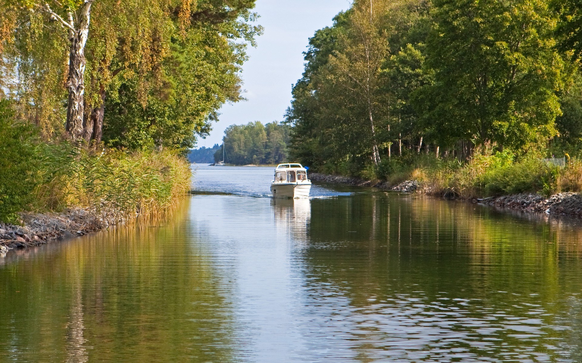 Boat on a forested waterway