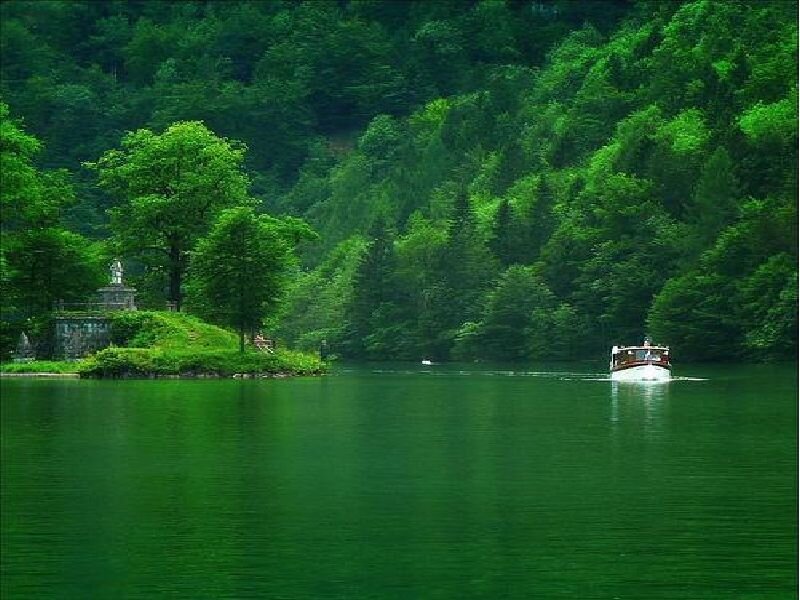 Boat on a green lake