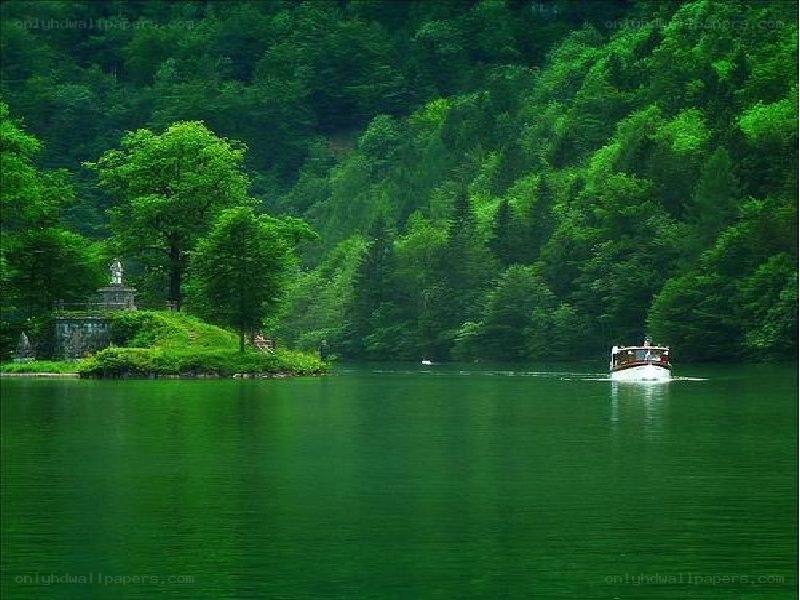 Boat on a green lake