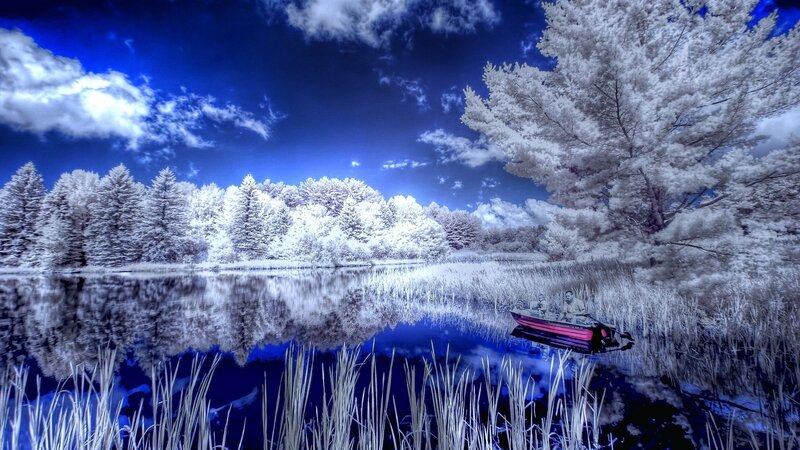 Boat on a Lake — Blue, Serene, Photograph, Trees
