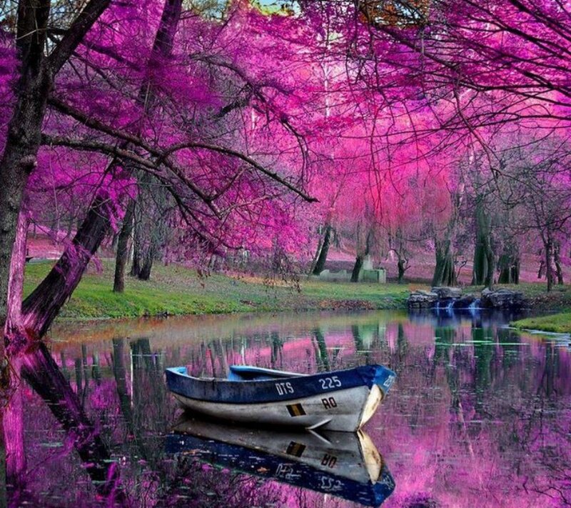 Boat on a Lake — Purple, Serene