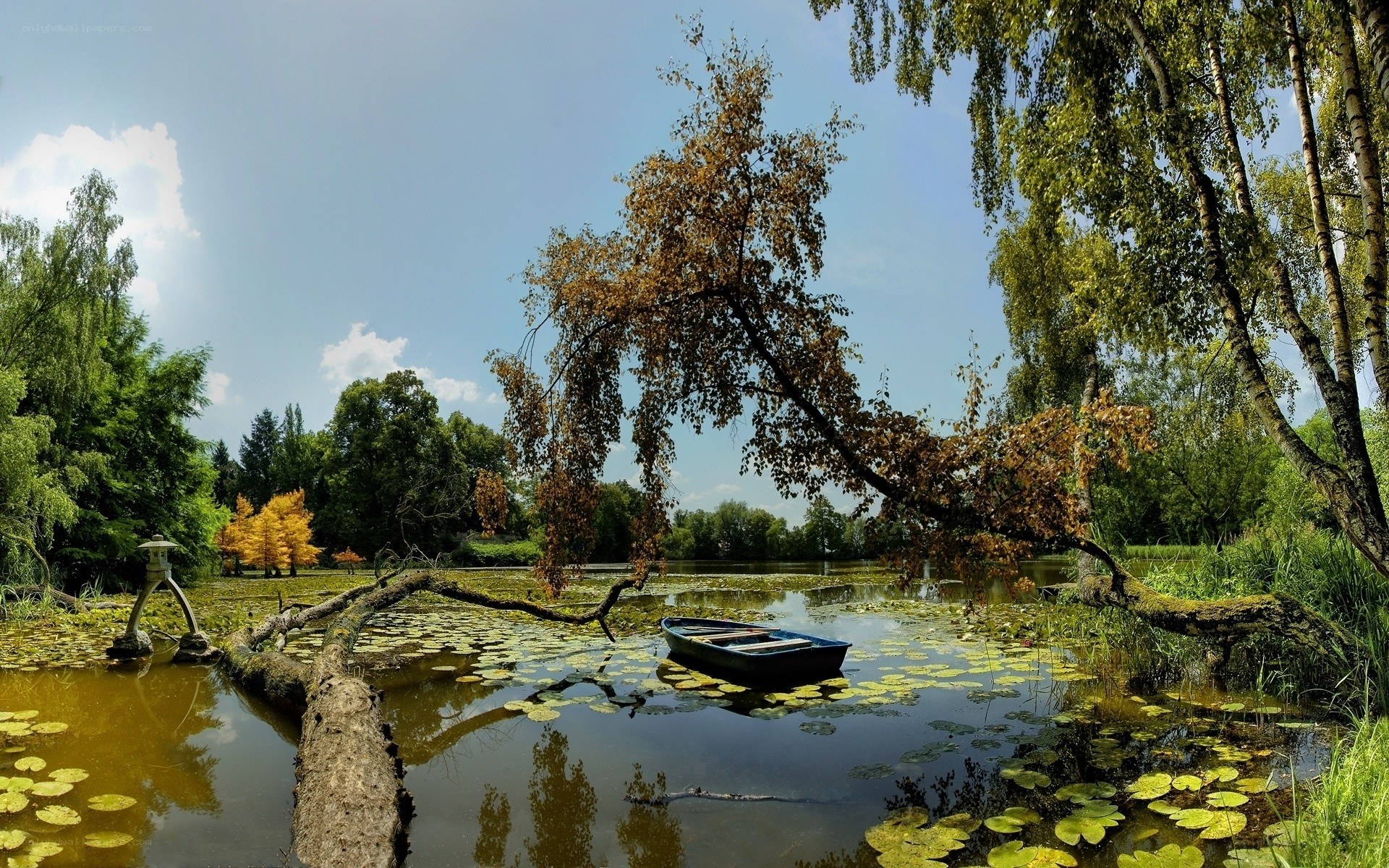 Boat on a lily pond