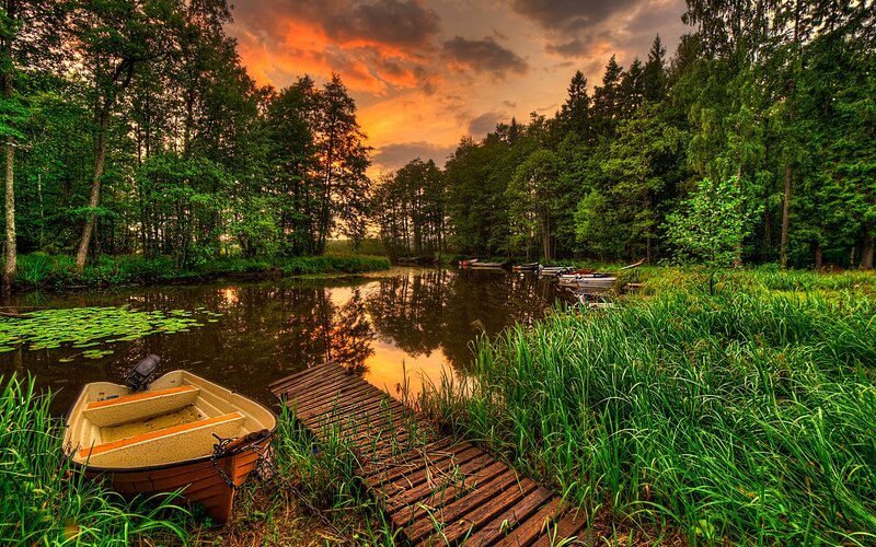 Boat on a Pond