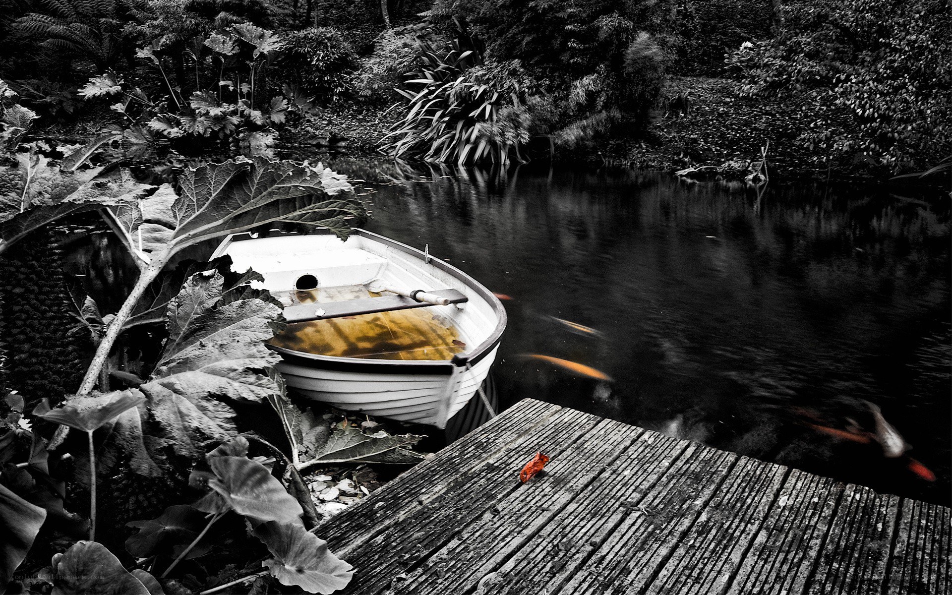 Boat on a quiet pond
