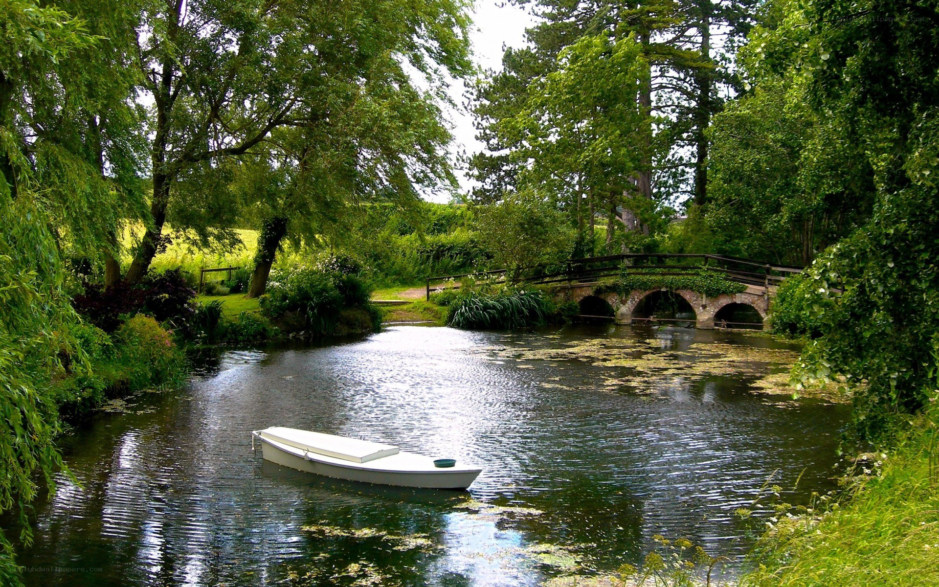 Boat on a serene river
