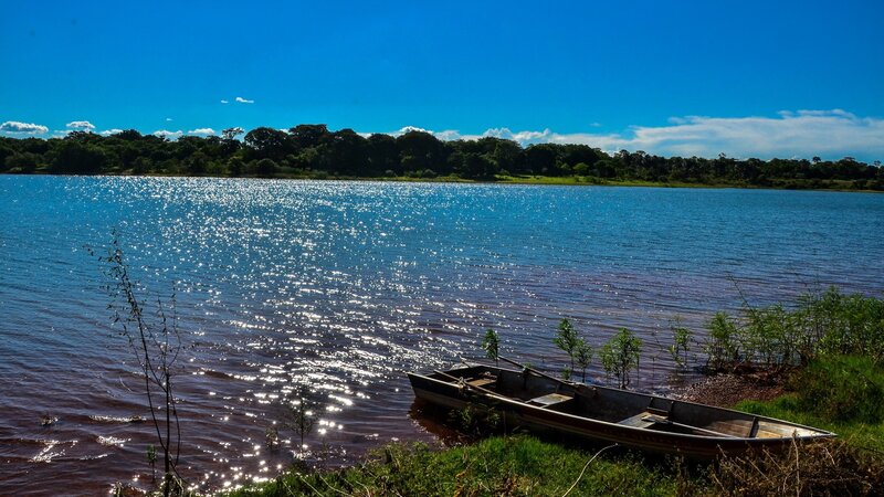 Boat on a sunny lakeshore
