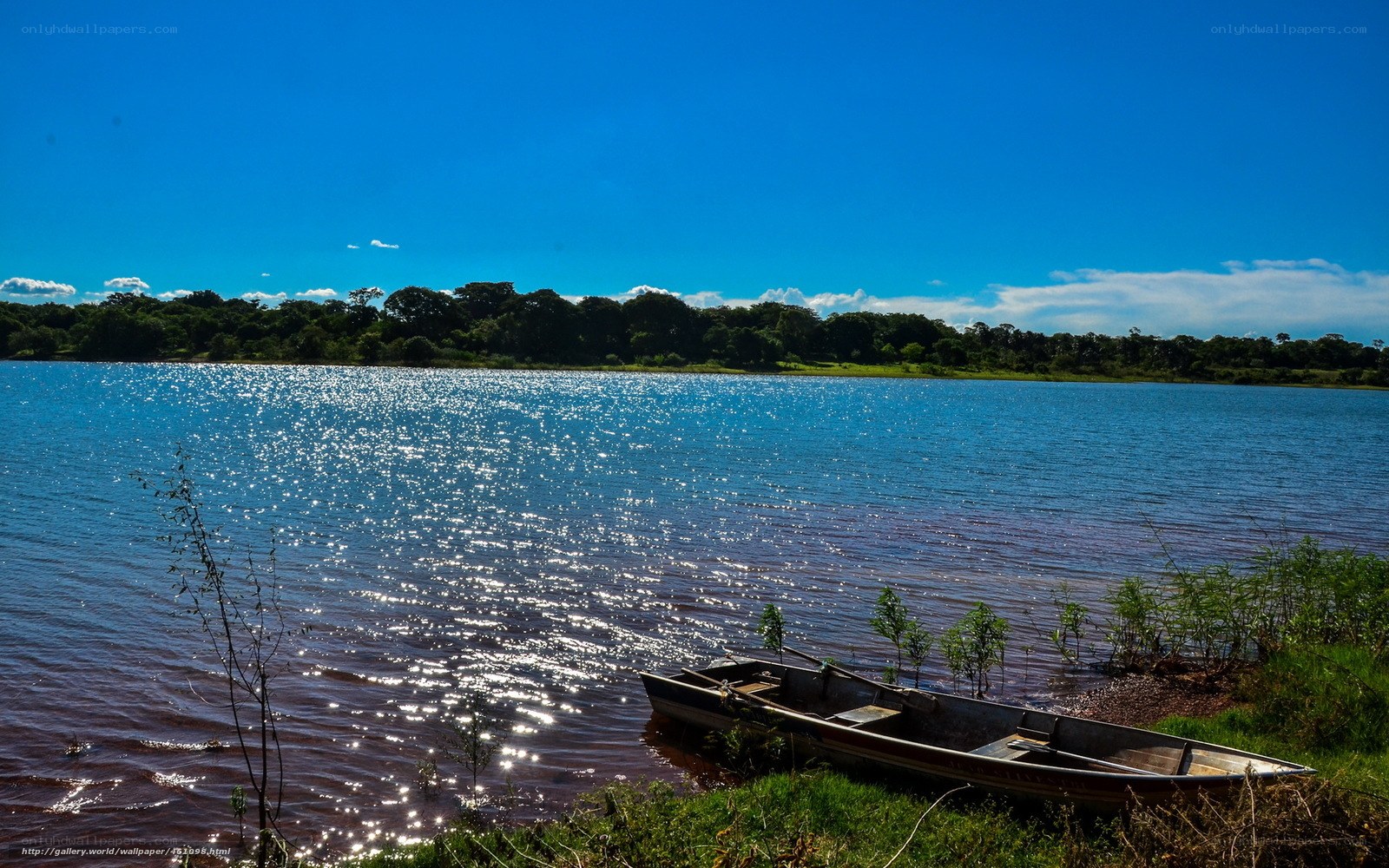 Boat on a sunny lakeshore