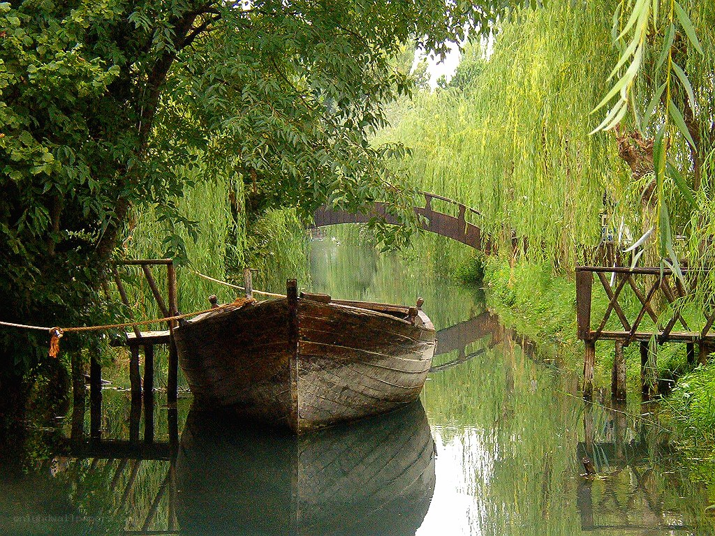 Boat on a tranquil canal