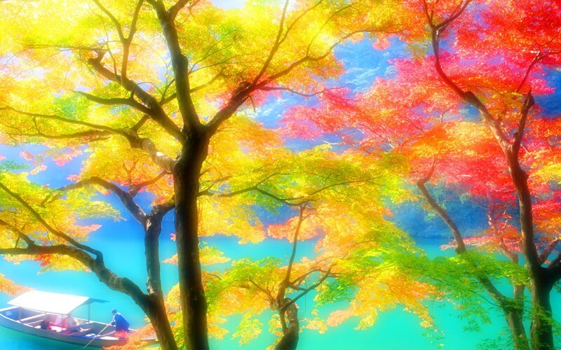 Boat on Autumn Lake — Yellow