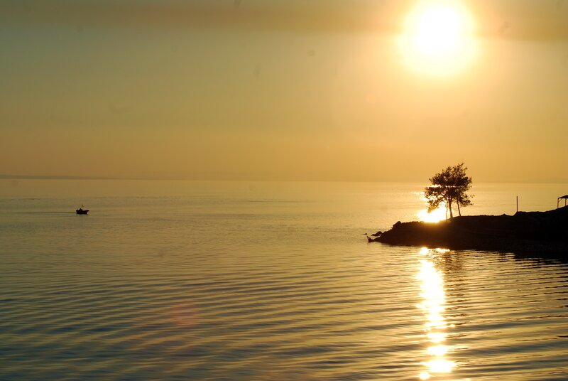 Boat on Calm Water — Gold, Serene
