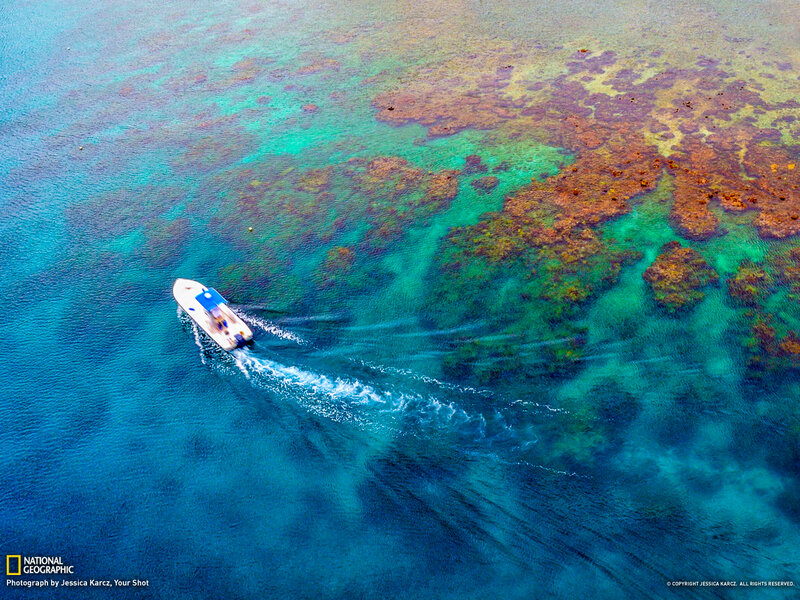 Boat on Coral Reef