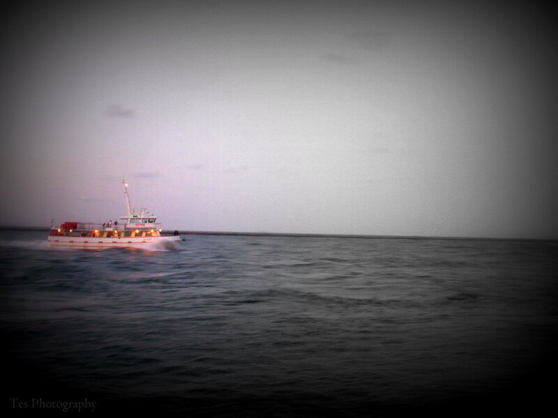 Boat on Dark Water — Gray, Calm