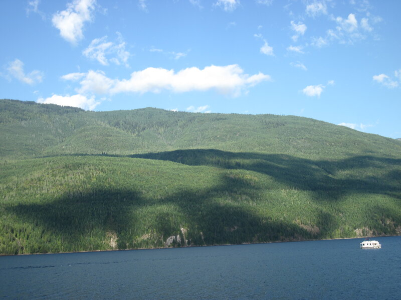 Boat on Lake Near Forest
