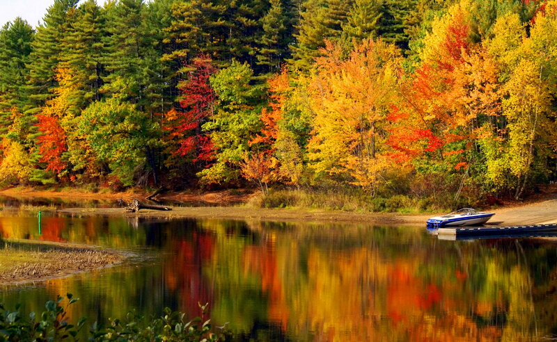 Boat on Lake Shore — Orange