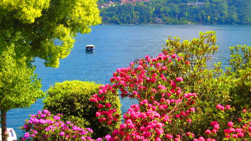 Boat on Lake with Flowers