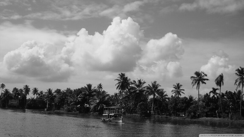 Boat on River with Palm Trees