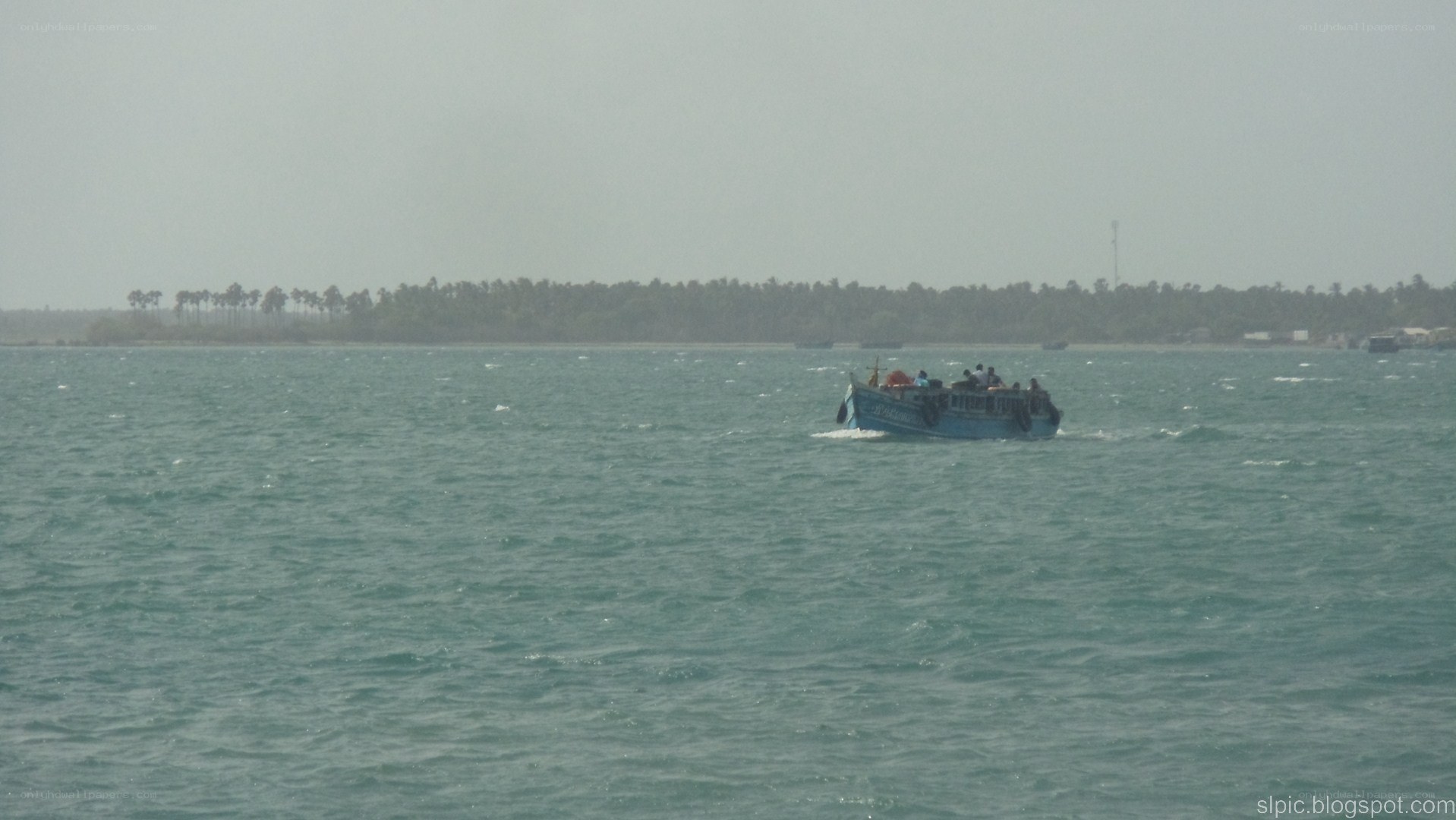 Boat on the sea