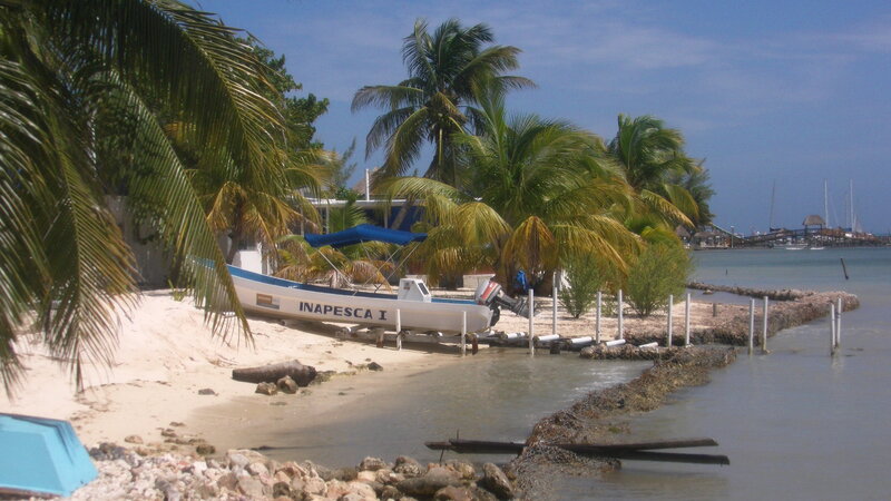 Boat on Tropical Beach — Blue
