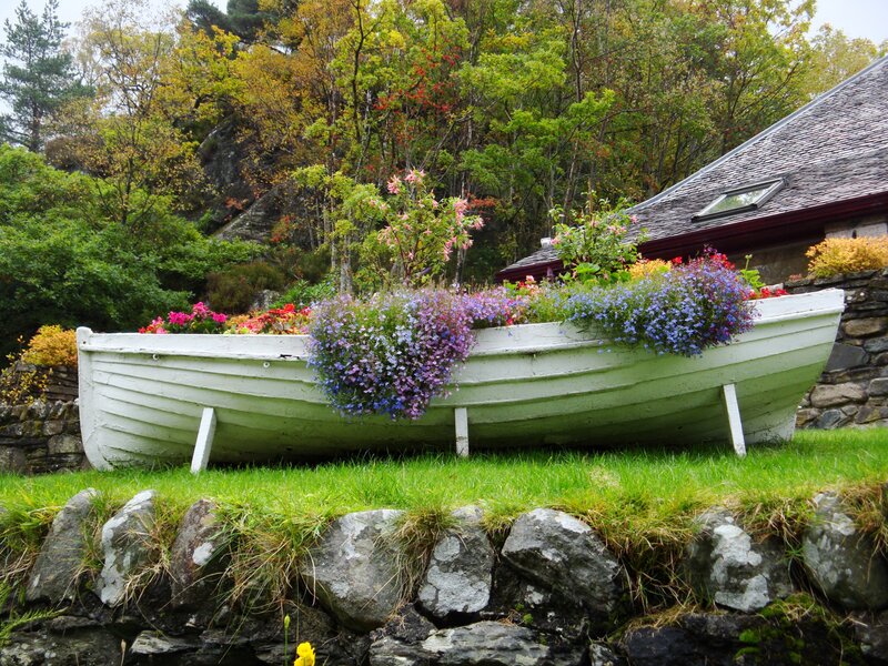 Boat planter with flowers
