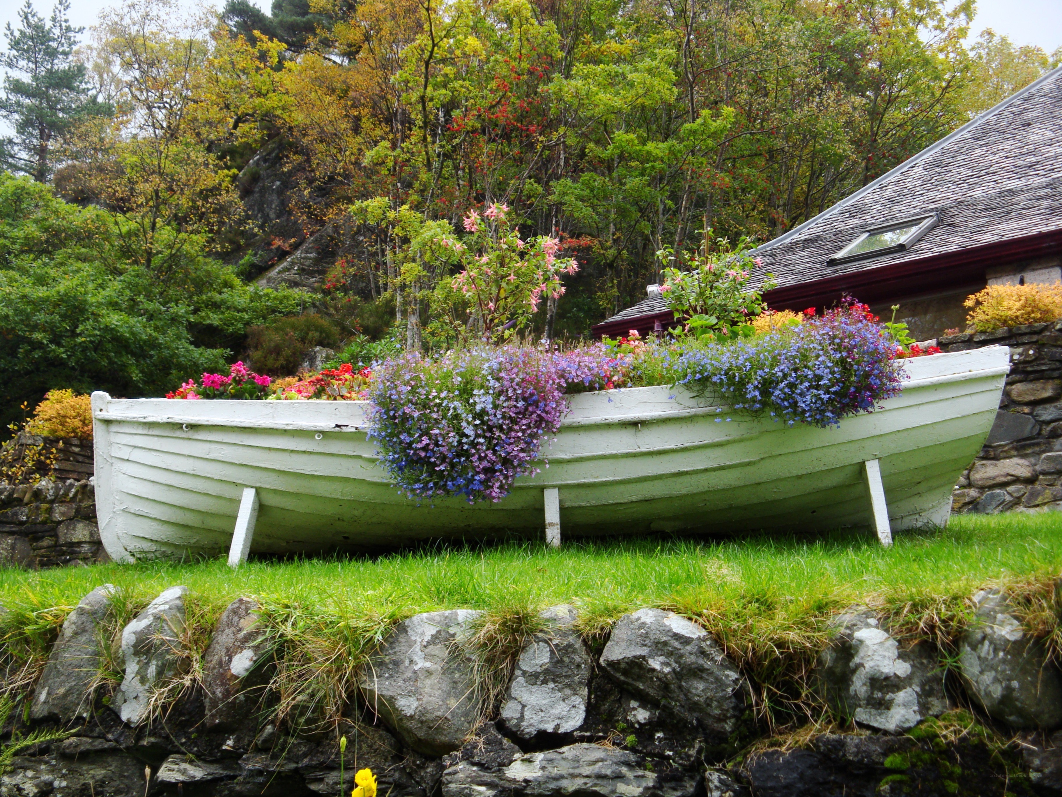 Boat planter with flowers