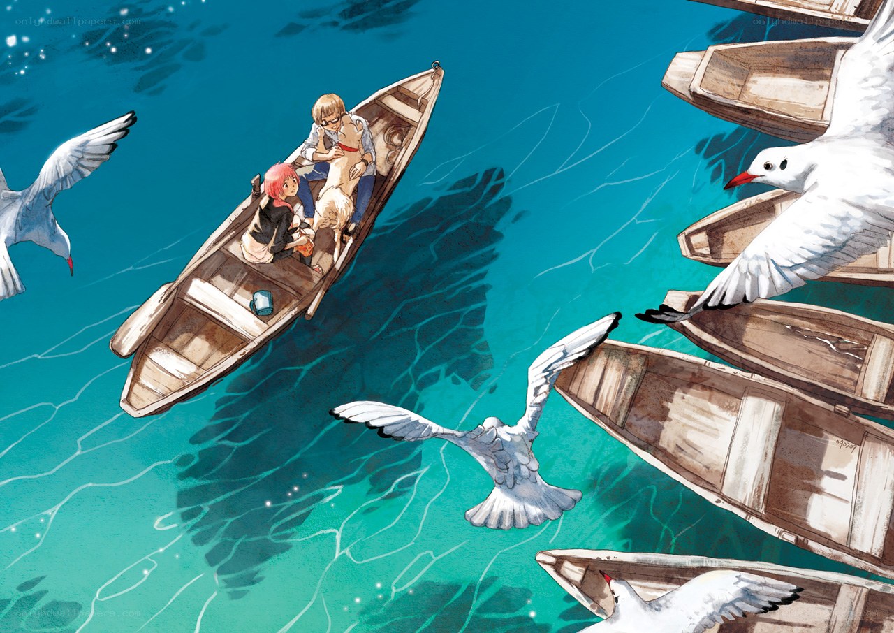 Boat ride with seagulls