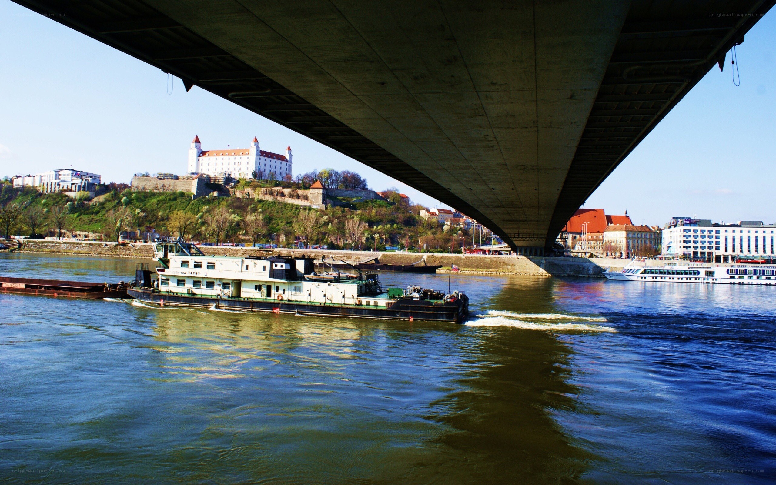 Boat under a bridge with castle