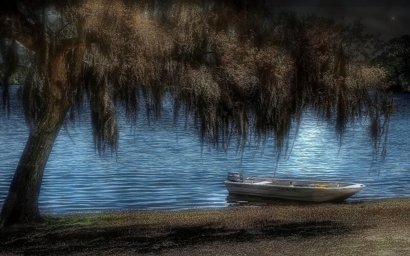 Boat under a weeping willow