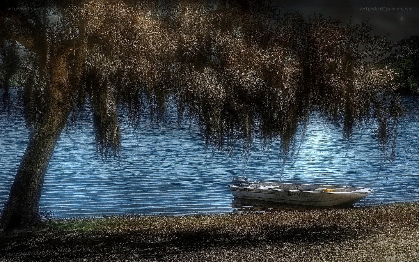 Boat under a willow tree