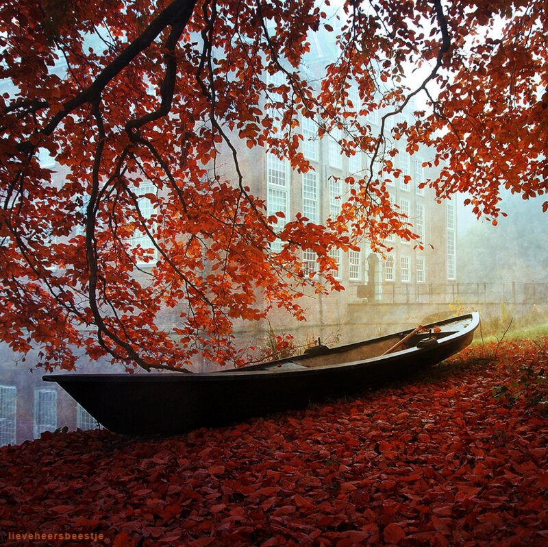 Boat under Autumn Tree — Red