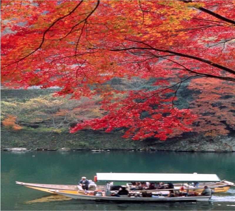 Boat under autumn trees