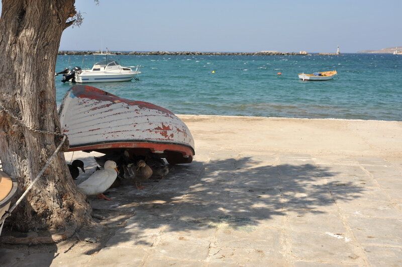 Boat under tree on beach