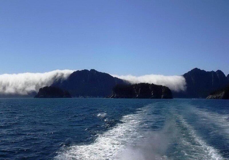 Boat Wake in Ocean