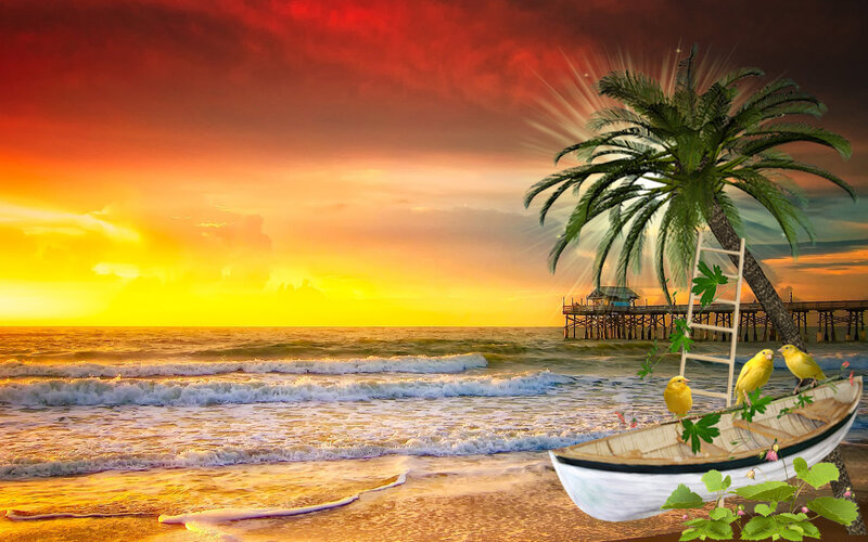 Boat with Birds on Beach