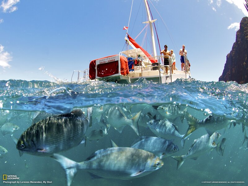 Boat with fish underwater