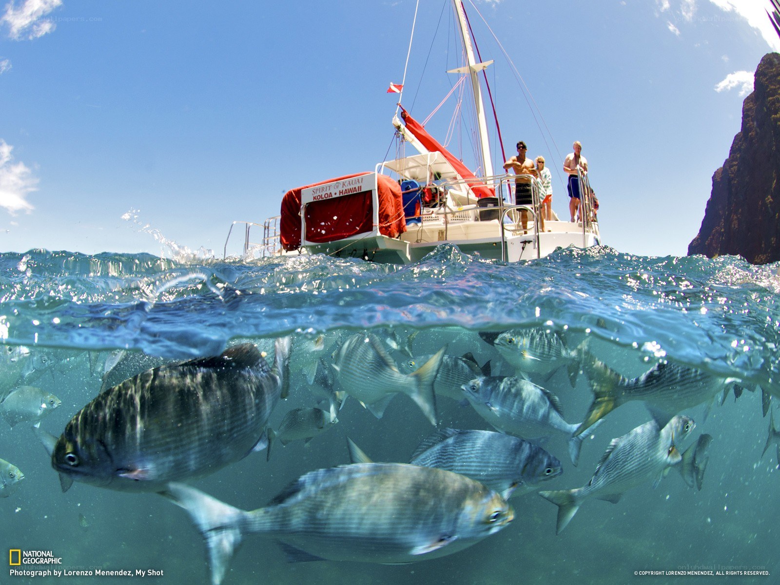 Boat with fish underwater