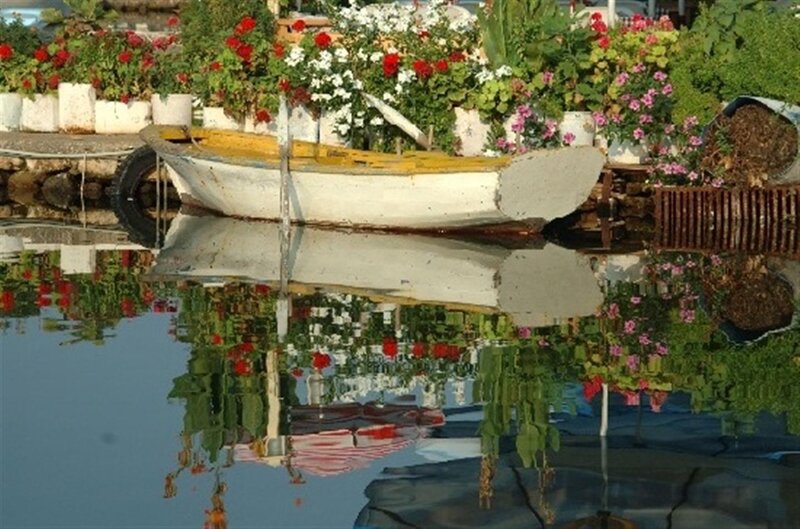 Boat with flowers reflection