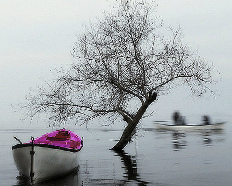 Boat with Pink Cover