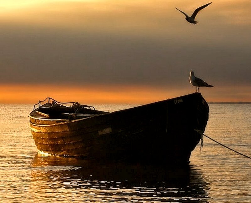 Boat with Seagulls