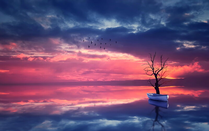 Boat with Tree at Sunset