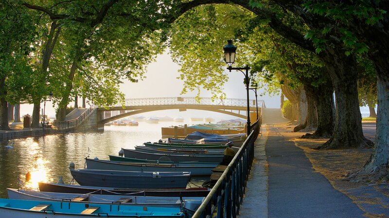 Boats along a tree-lined canal