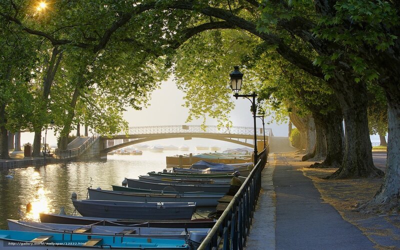 Boats along a tree-lined canal